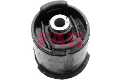 Supporto, Corpo assiale