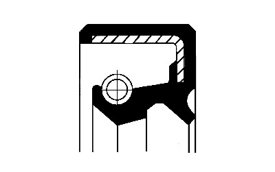 Paraolio, Cambio manuale