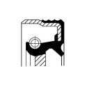 Paraolio, Cambio manuale