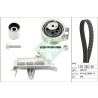 Kit cinghie dentate