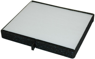 Filtro, aria abitacolo