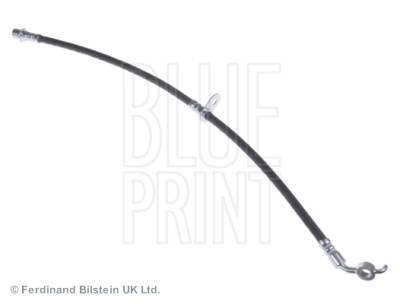 Flessibile del freno BLUEPRINT ADT353196BLU
