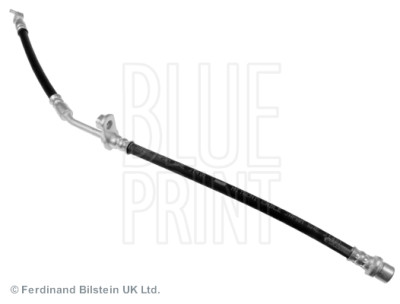 Flessibile del freno BLUEPRINT ADT353341BLU
