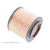 Filtro olio Blueprint ADV182101BLU