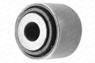 Supporto, Braccio oscillante