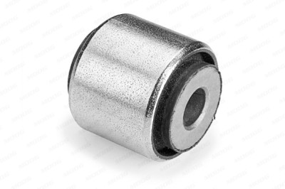 Supporto, Braccio oscillante