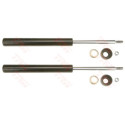 Set ammortizzatori TRW JGC138T