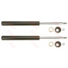 Set ammortizzatori TRW JGC138T