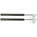 Set ammortizzatori TRW JGC143T
