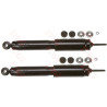 Set ammortizzatori TRW JGE196T
