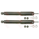 Set ammortizzatori TRW JGE280T