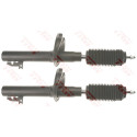 Ammortizzatore TRW JGM1068T