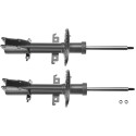 Set ammortizzatori TRW JGM1074T