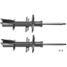 Set ammortizzatori TRW JGM1074T