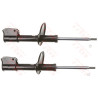 Set ammortizzatori TRW JGM241T
