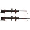 Set ammortizzatori TRW JGM267T