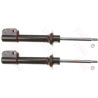Set ammortizzatori TRW JGM289T