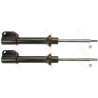 Set ammortizzatori TRW JGM308T