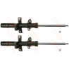 Set ammortizzatori TRW JGM342T