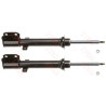 Set ammortizzatori TRW JGM354T