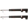 Set ammortizzatori TRW JGM434T