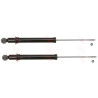 Set ammortizzatori TRW JGS132T