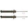 Set ammortizzatori TRW JGS152T