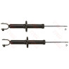 Set ammortizzatori TRW JGS224T