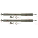 Set ammortizzatori TRW JGT1001T