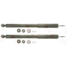 Set ammortizzatori TRW JGT1001T