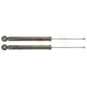 Set ammortizzatori TRW JGT1016T