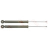 Set ammortizzatori TRW JGT1016T