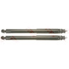 Set ammortizzatori TRW JGT1062T