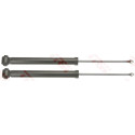 Set ammortizzatori TRW JGT1098T