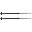 Set ammortizzatori TRW JGT217T