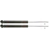 Set ammortizzatori TRW JGT218T