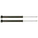 Set ammortizzatori TRW JGT243T