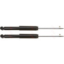 Set ammortizzatori TRW JGT244T