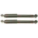 Set ammortizzatori TRW JGT270T