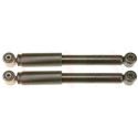 Set ammortizzatori TRW JGT279T