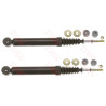 Set ammortizzatori TRW JGT284T