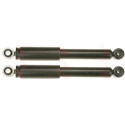 Set ammortizzatori TRW JGT294T