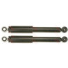 Set ammortizzatori TRW JGT294T