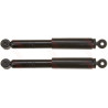 Set ammortizzatori TRW JGT295T
