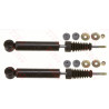 Set ammortizzatori TRW JGT298T