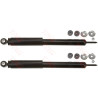Set ammortizzatori TRW JGT302T