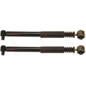 Set ammortizzatori TRW JGT316T