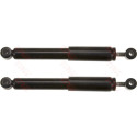 Set ammortizzatori TRW JGT356T