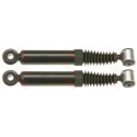 Set ammortizzatori TRW JGT398T