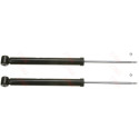 Set ammortizzatori TRW JGT408T